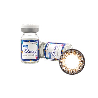 라미데이지 브라운