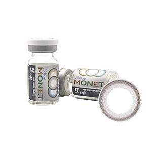 모네 그레이 토릭