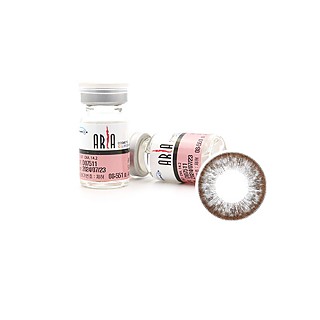 아리아 파이1 그레이 토릭